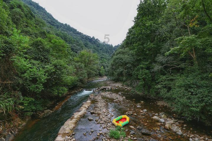 救援蝙蝠