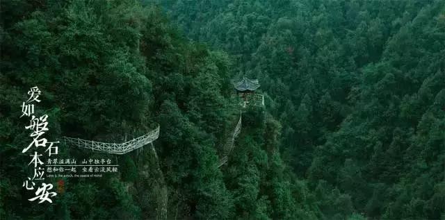 意立法整治慈善捐款活动：将要求明星、网红等说明捐款流向