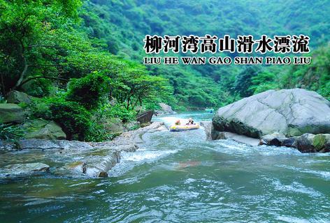 丛林森林逃生